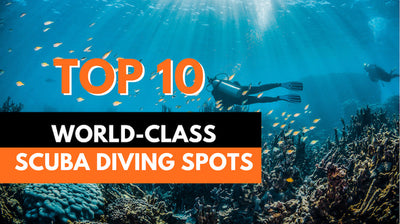 Best Places To Scuba Dive In The World For Your Next Diving Trip