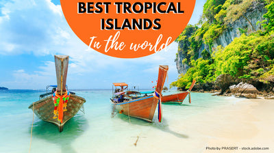 Best Tropical Islands: Perfect Places For Your Next Exciting Vacation