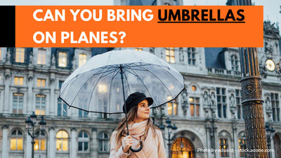 Can You Bring Umbrellas On Planes: Answers For The Rainy Days