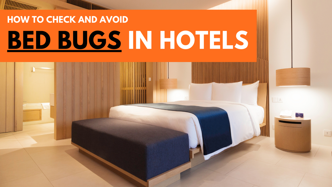 Modern hotel room with overlay text 'How to Check and Avoid Bed Bugs in Hotels' — travel tips for avoiding bed bug infestations