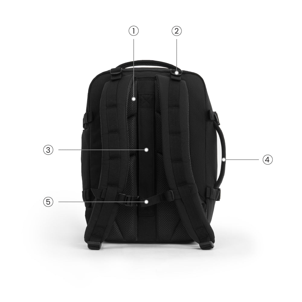 Back