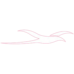 Air Mauritius logo