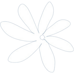 Air Tahiti Nui logo