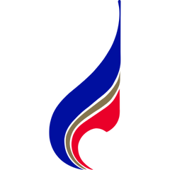 Bangkok Air logo